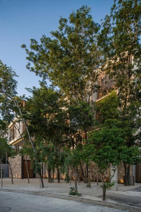Beyond Amazing 3Bd 2Br/ Balcony Appartement Tulum Pueblo Buitenkant foto